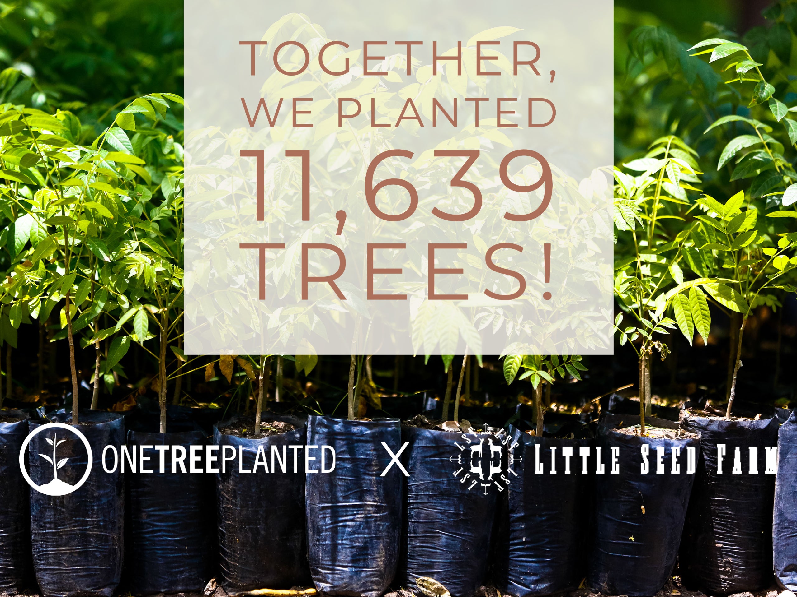 Earth Day 2021