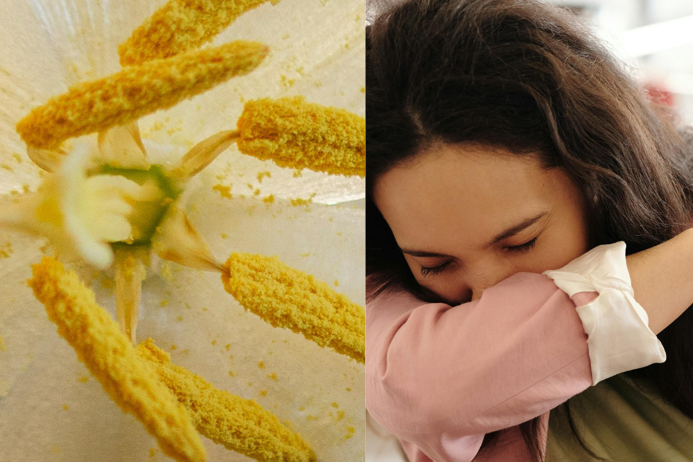 Natural Tips for Allergy Season (That Actually Help)