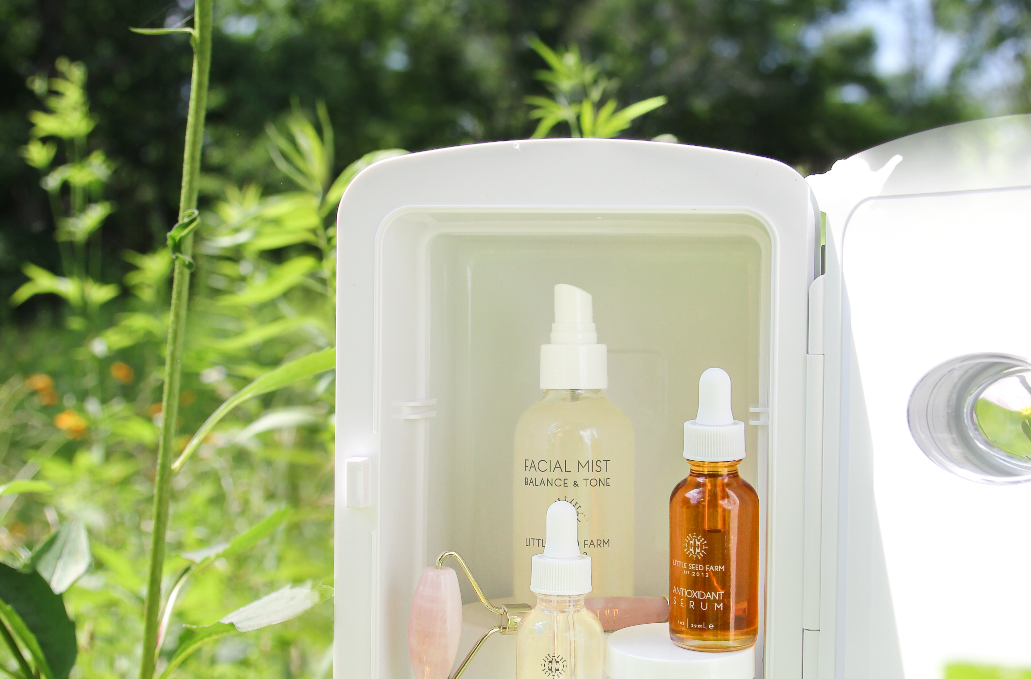Skincare on Ice