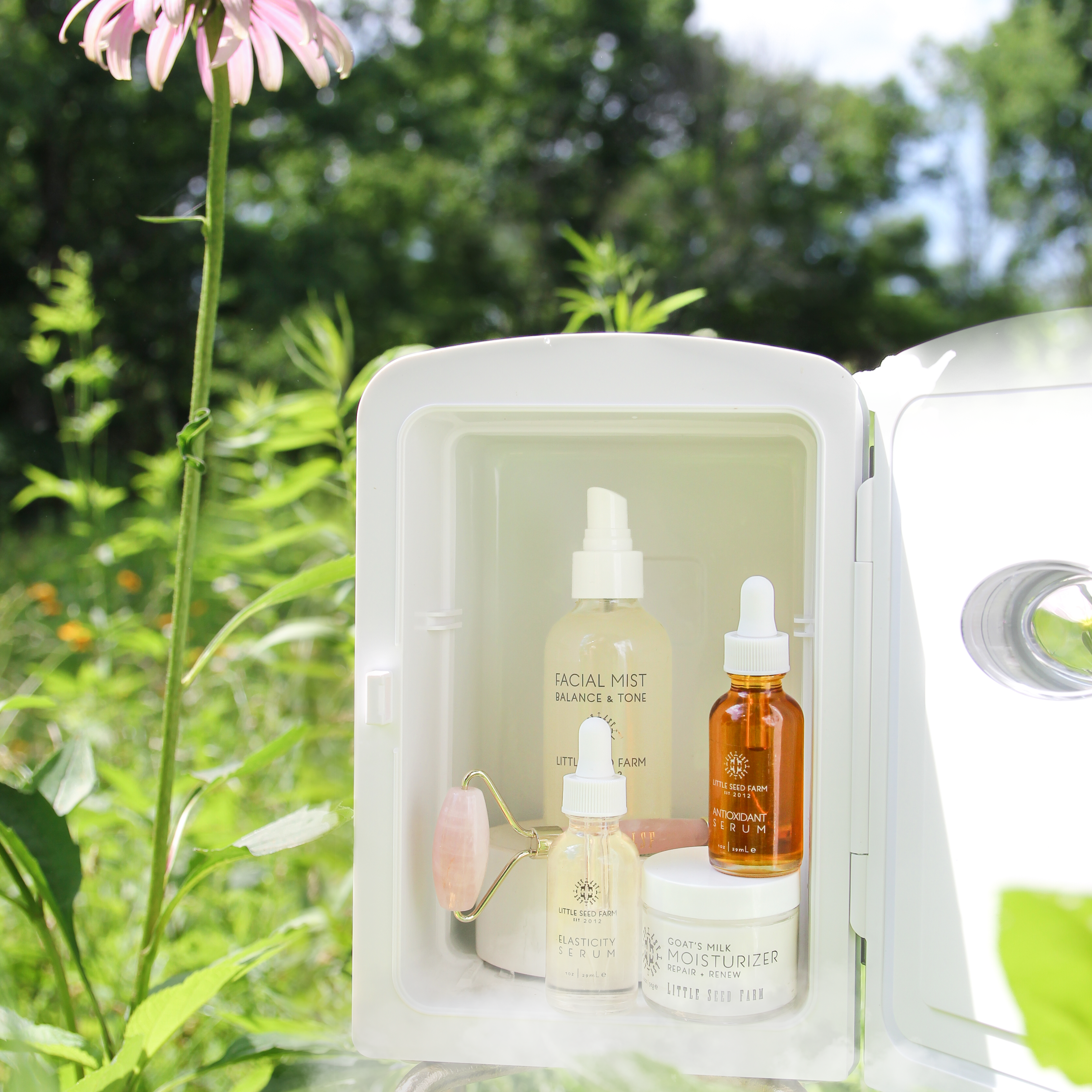 Skincare on Ice