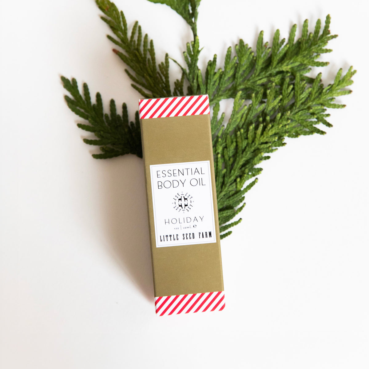 Smooth, fast-absorbing body oil formulated with virgin hazelnut oil and organic hemp seed oil to deeply hydrate and lock in moisture with a natural lipid barrier.