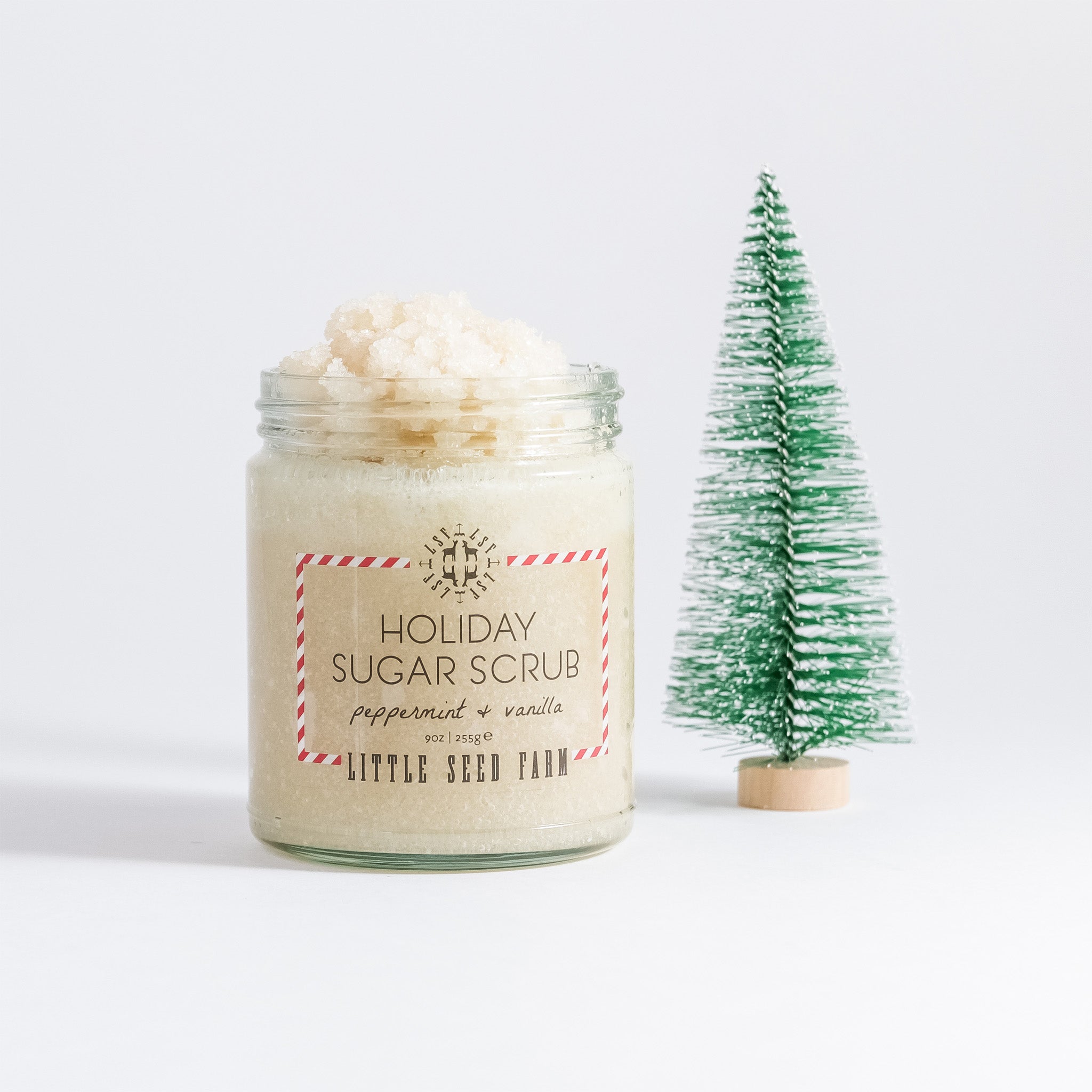 an open jar of little seed farm holiday sugar scrub sitting next to a small fake tree.