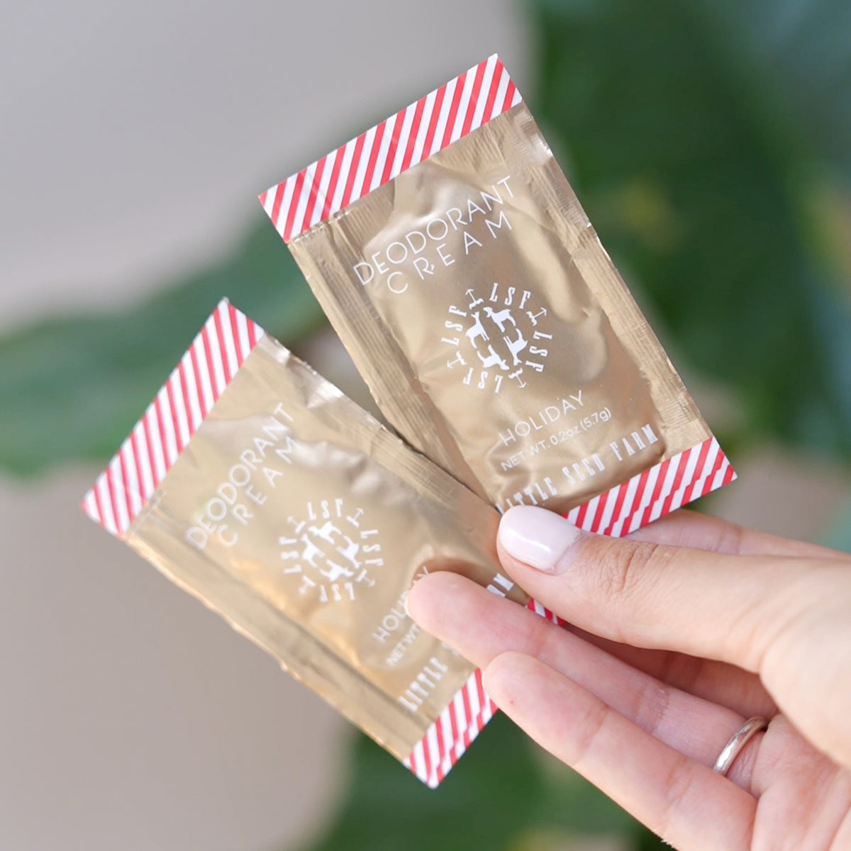 a hand holding two little seed farm holiday deodorant sample packs.