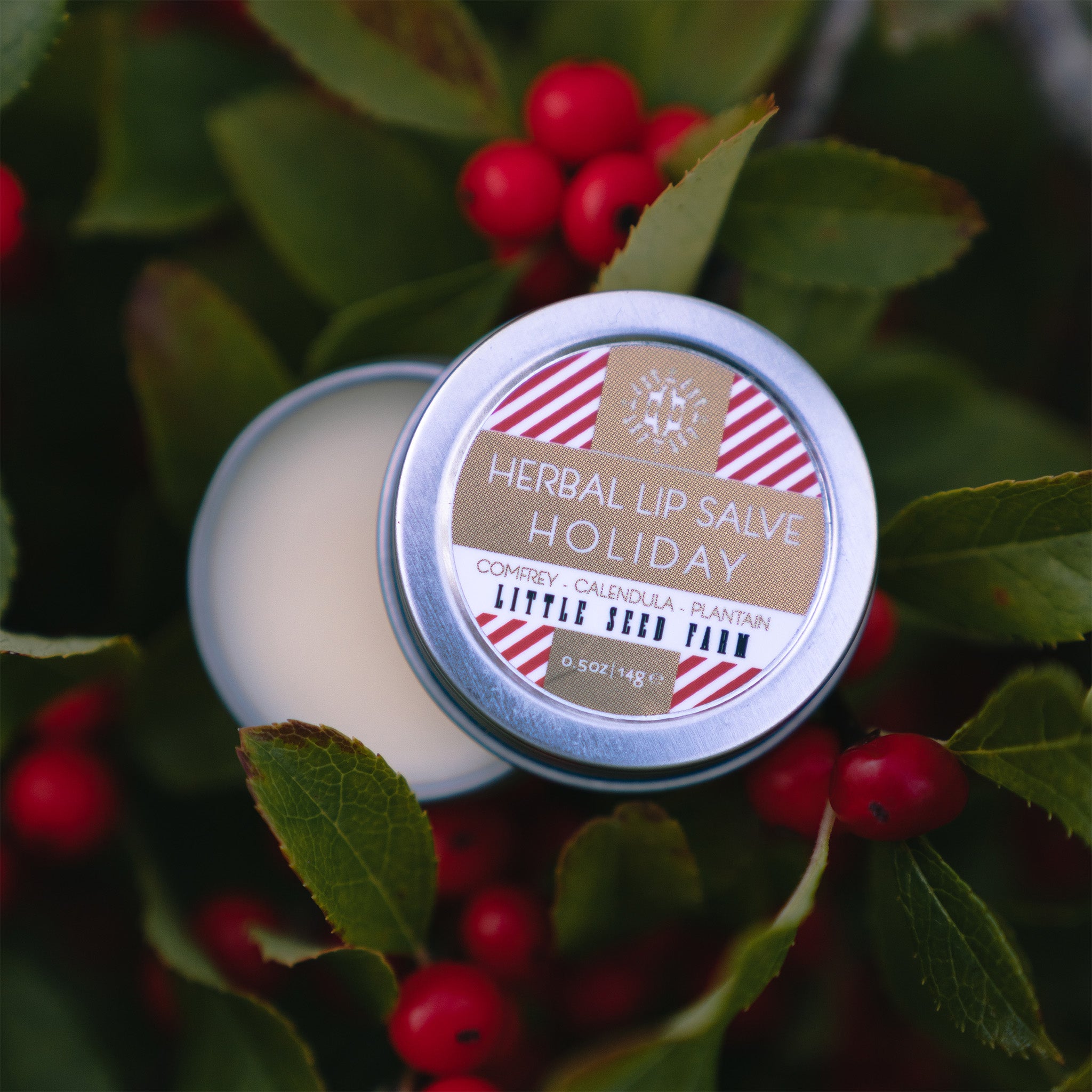 Holiday Lip Salve seasonal limited edition from Little Seed Farm: peppermint‑vanilla herbal balm made with organic butters and healing botanicals to soothe and hydrate lips.