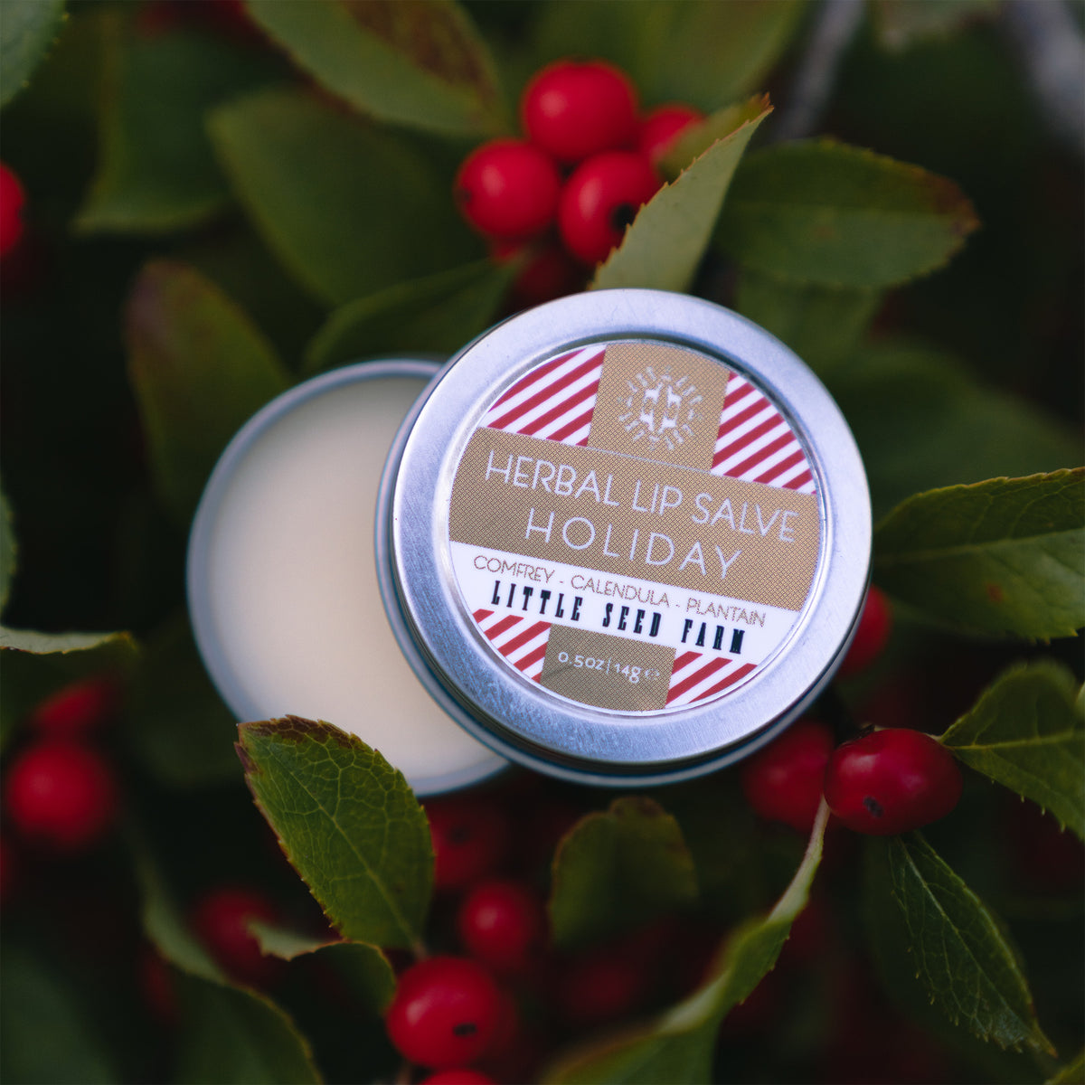 Holiday Lip Salve seasonal limited edition from Little Seed Farm: peppermint‑vanilla herbal balm made with organic butters and healing botanicals to soothe and hydrate lips.