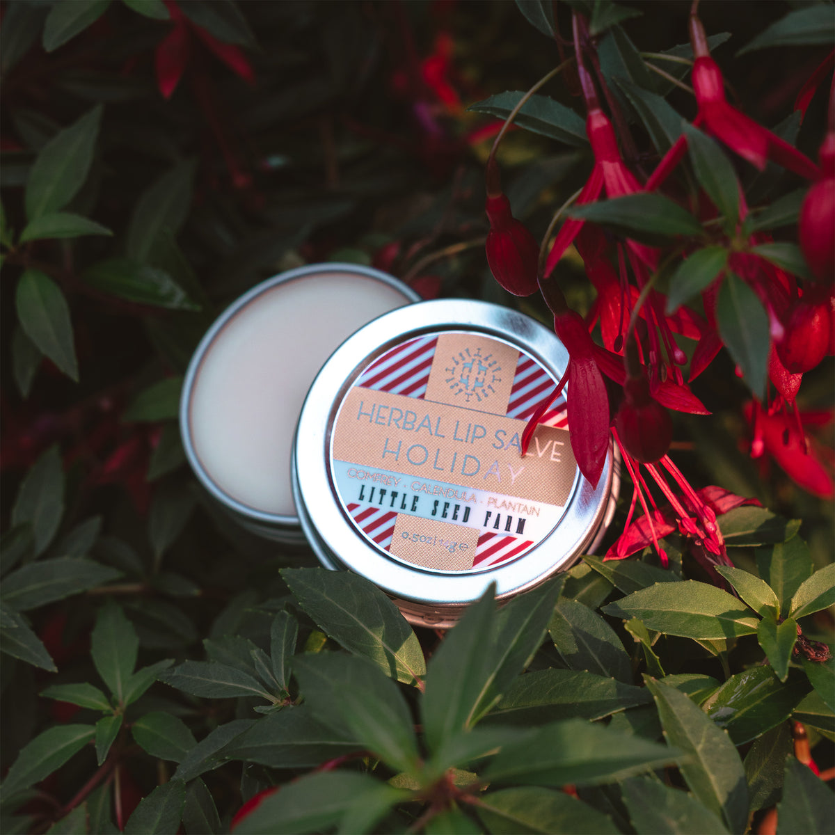 Holiday Lip Salve seasonal limited edition from Little Seed Farm: peppermint‑vanilla herbal balm made with organic butters and healing botanicals to soothe and hydrate lips.