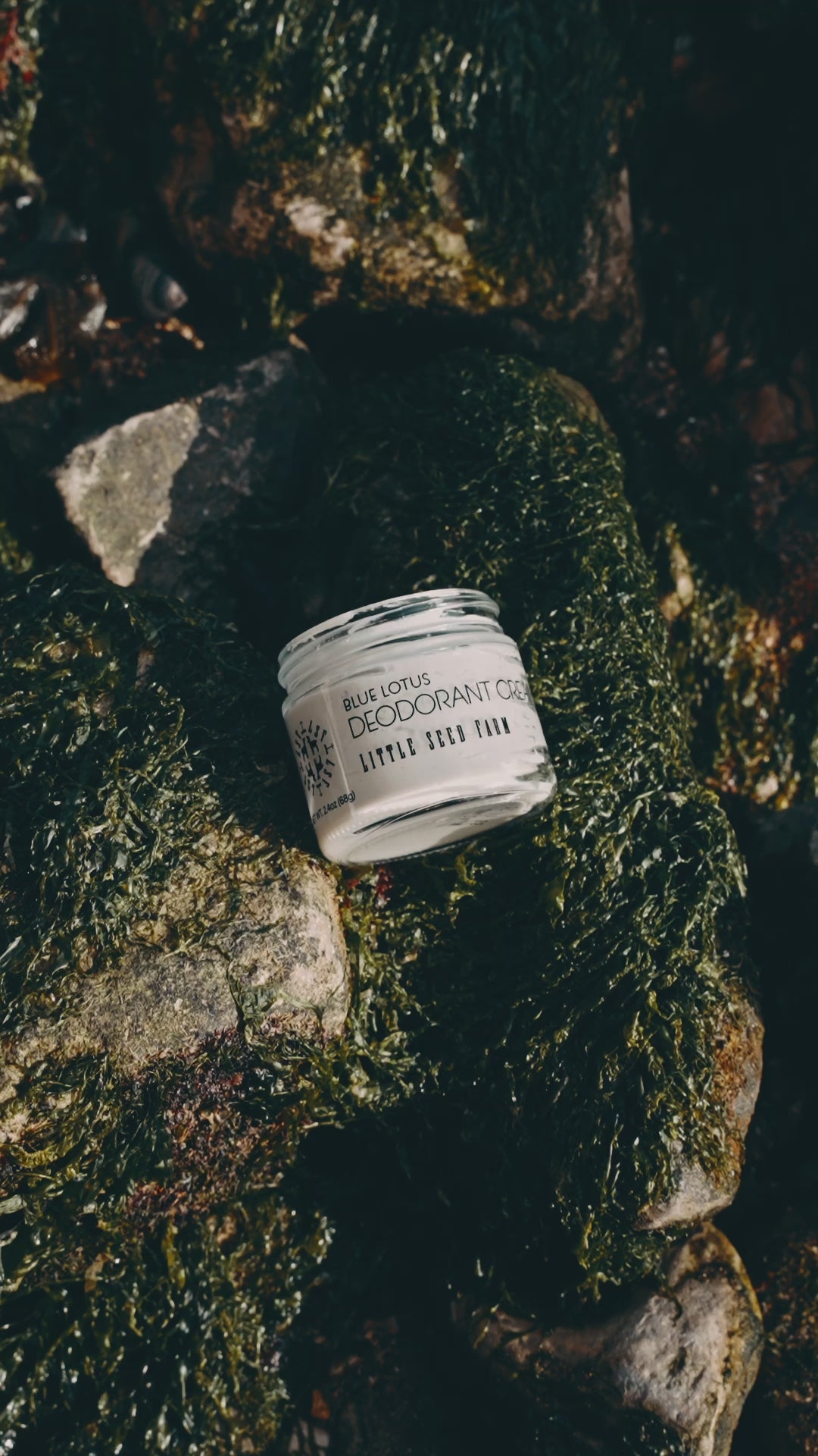 Close-up of Blue Lotus Deodorant Cream texture, showing smooth, creamy formula infused with activated charcoal and botanicals