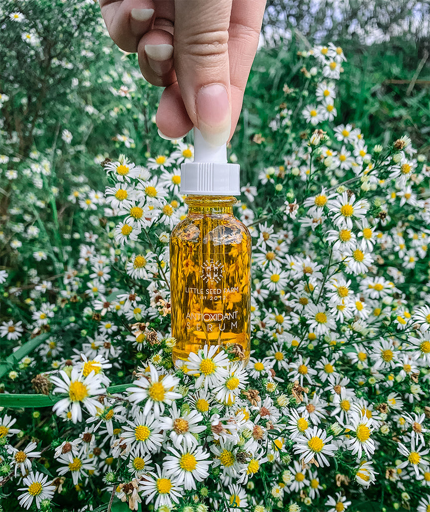 Antioxidant Serum by Little Seed Farm formulated with Coenzyme Q10, rosehip, sea buckthorn, raspberry seed, calendula and vitamin E to nourish, protect against blue light and pollution, and improve skin tone